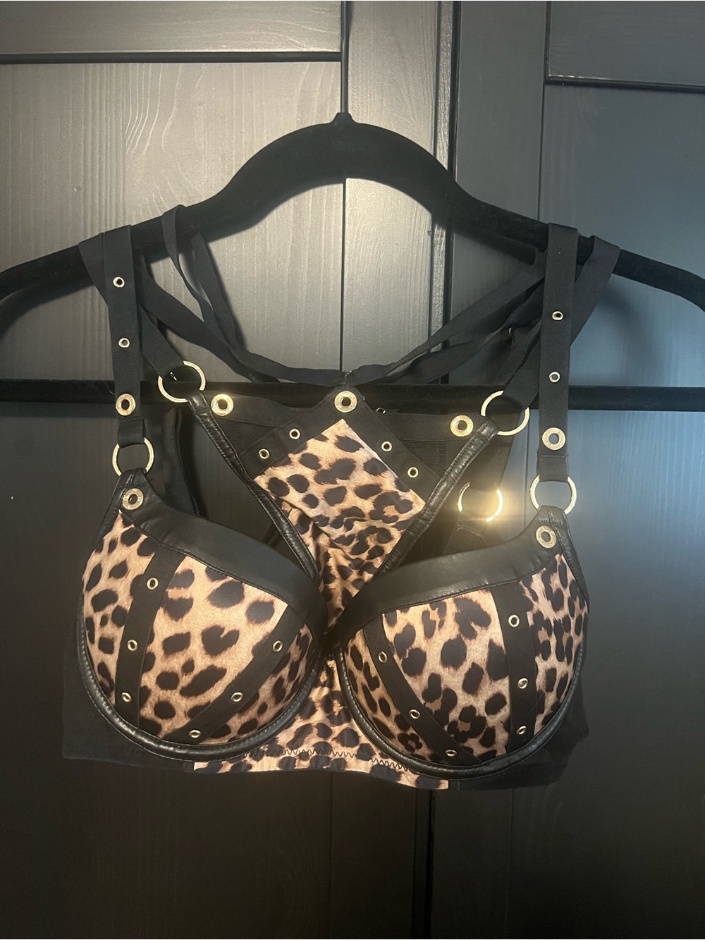 Honey Birdette Leopard Push-Up Bra and thong